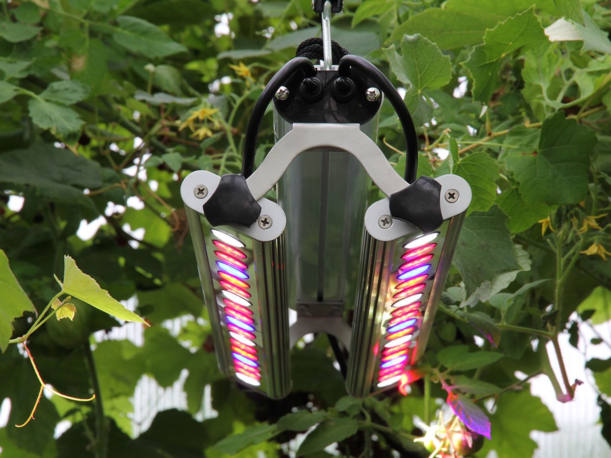 Växtbelysning Quattro 60W