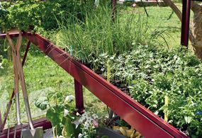 Miljöbild på såbädd