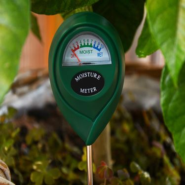 Fuktighetsmätare - Ph-mätare och andra mätinstrument