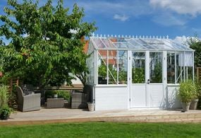 Miljöbild på växhuset Gothic 236, där växthuset är placerat på ett trädäck och fyllt med växter