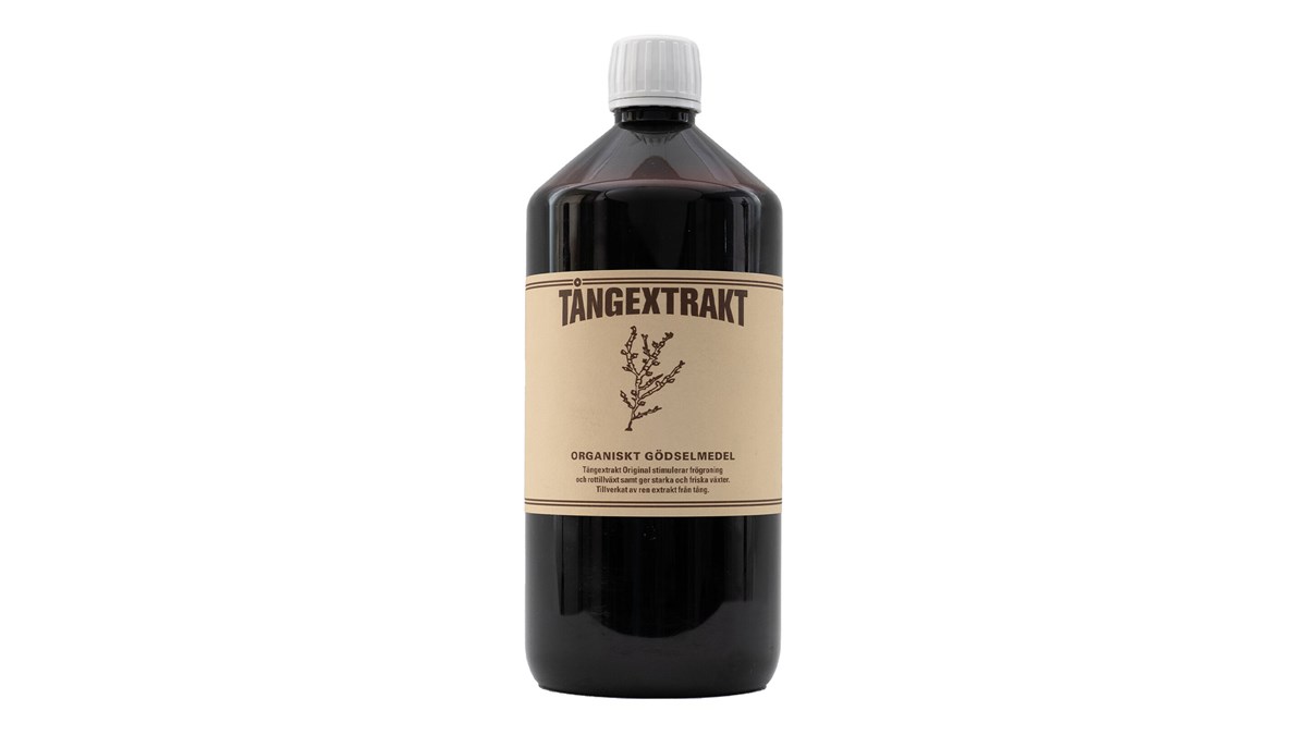 Tångextrakt Original