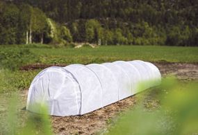 Växttunnel till trädgård