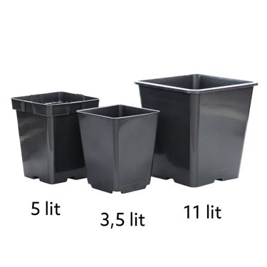 Tomatkrukor 3,5 liter, 5 liter och 11 liter i en jämförselsebild