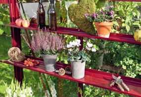 Miljöbild på växthylla i rött