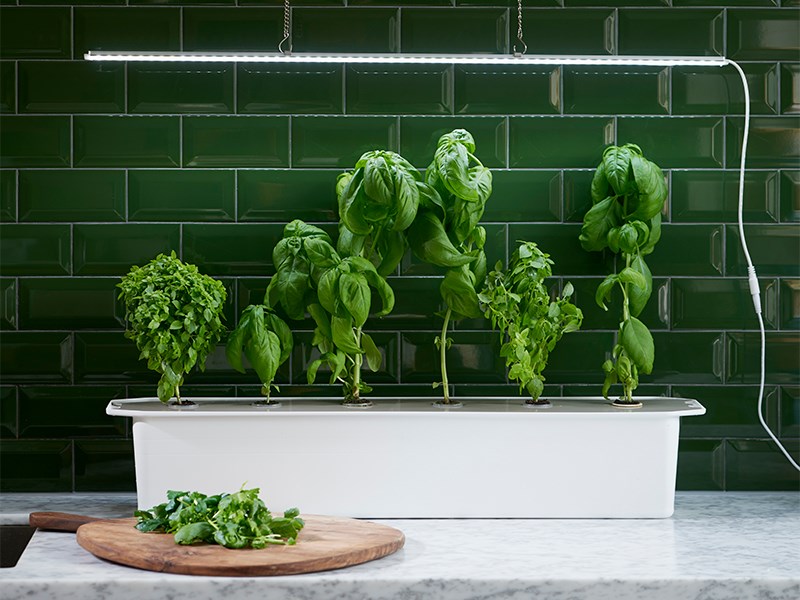 Hydroponisk odling - startpaket