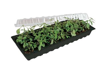 Minigro med 30 krukor - Förkultivering