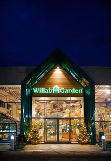 Willab Garden entré i julskrud