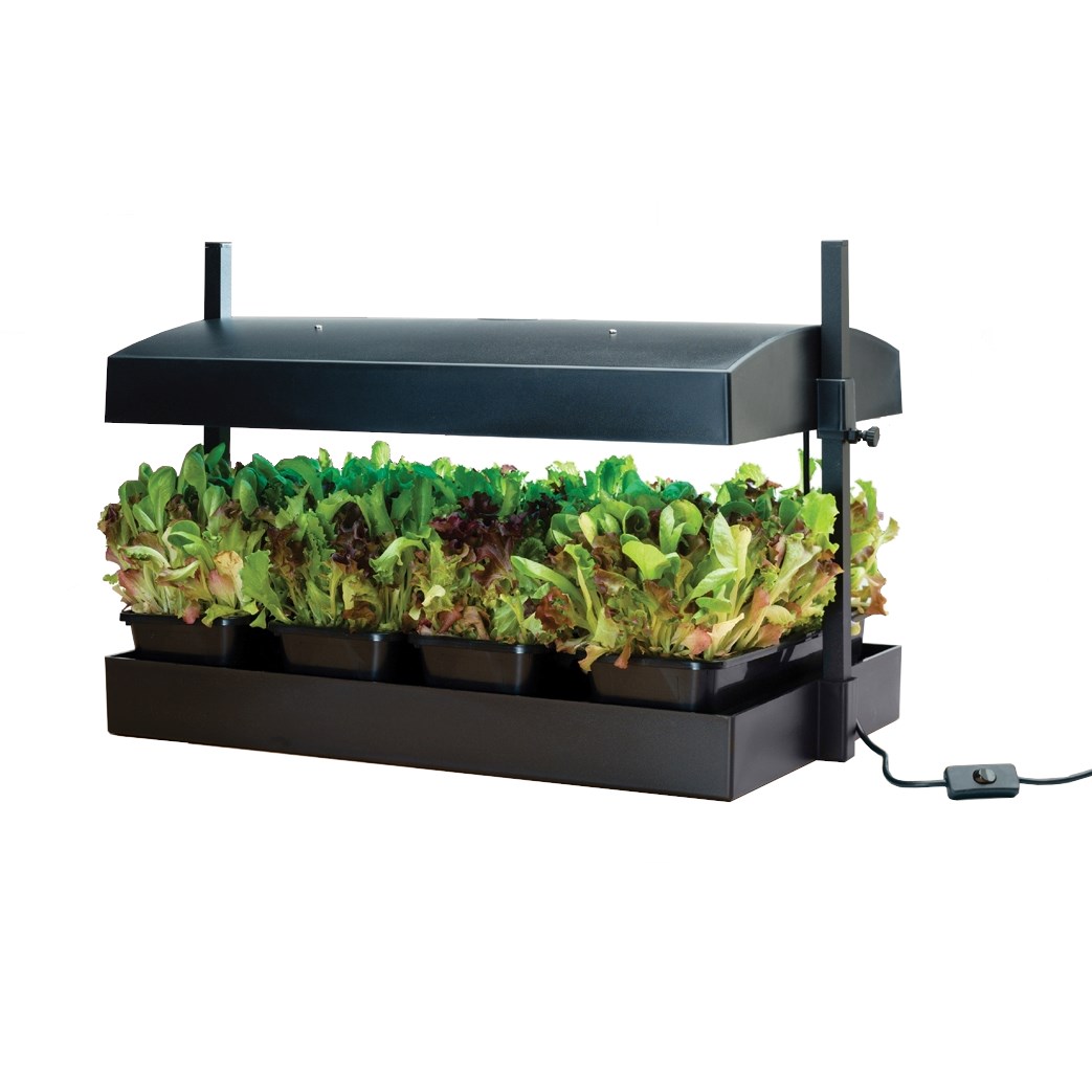 Odlingsbelysning LED