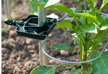Rank-o-flex för tomatplantor - Växtstöd och uppbindning
