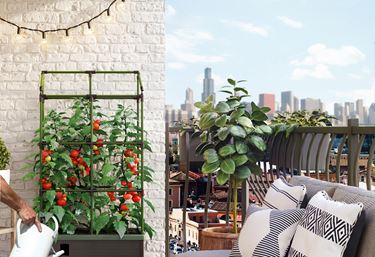 Spaljé till odlingslåda Cityjungle - Växtstöd och uppbindning