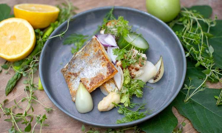 Gardeners Fisk Tallrik Liten