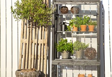 Terrassväxthus furu svart - Miniväxthus