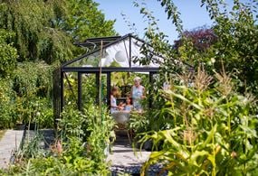 Svart växthus Maxi 4 från Willab Garden