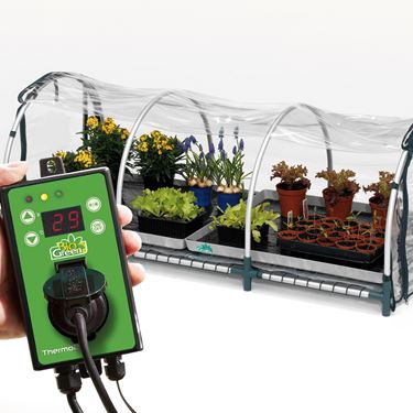 Drivhustunnel Jumbo med värme, produktbild