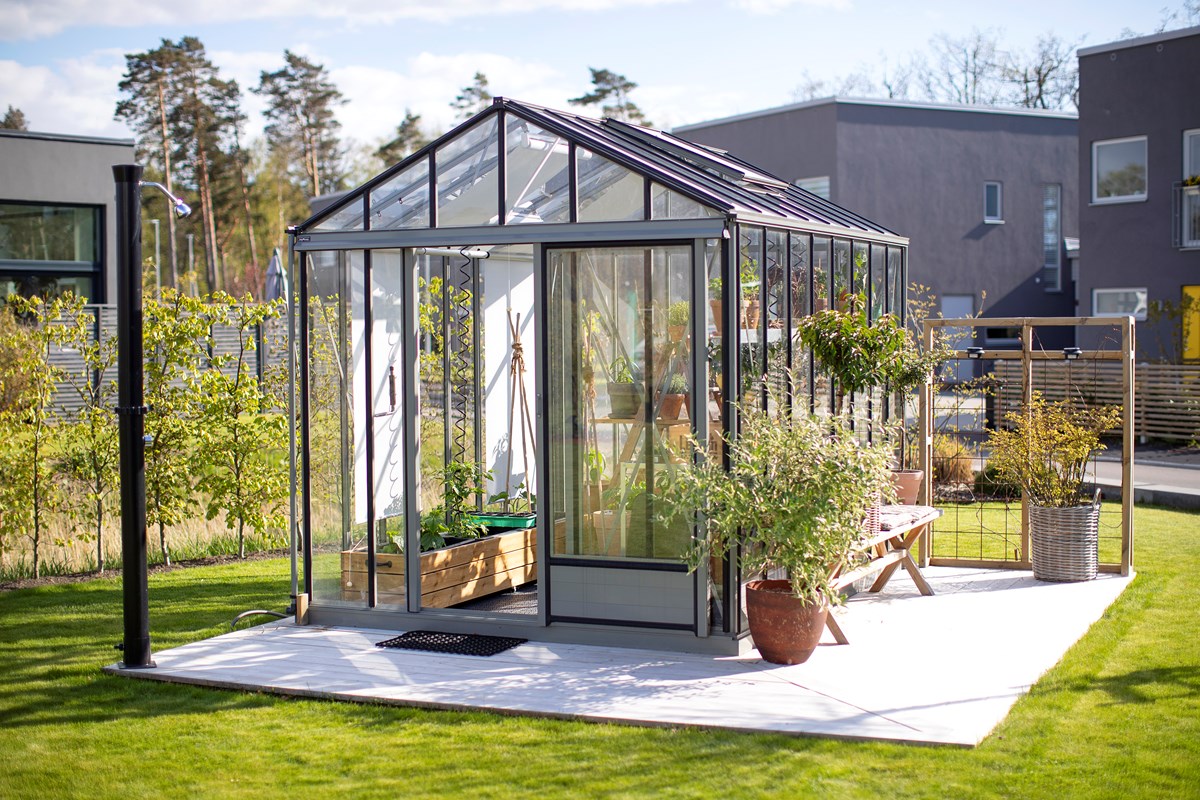 Maxi 3 Victorian växthus 19.6 m²
