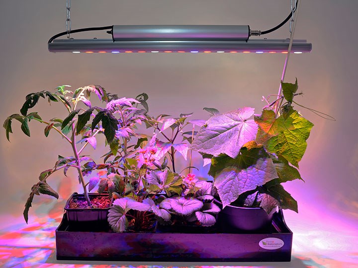 Växtbelysning Quattro 35W