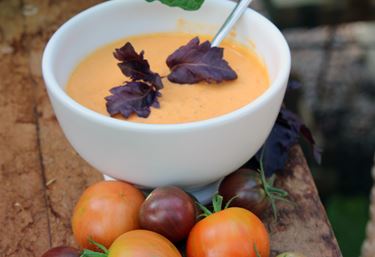 Tomatsoppa