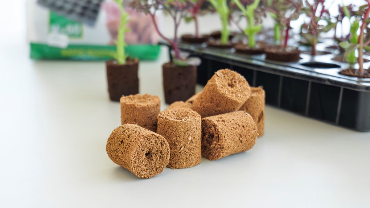 ROOT!T Odlingsbriketter Kokosfiber Refill 60-pack